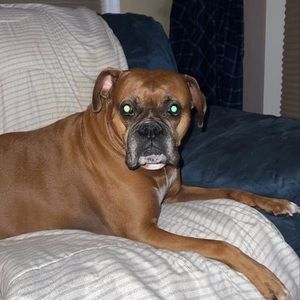 Meet your Posher, Kevin